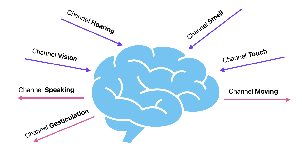 Figure 5: Information channels of Human Brain.
